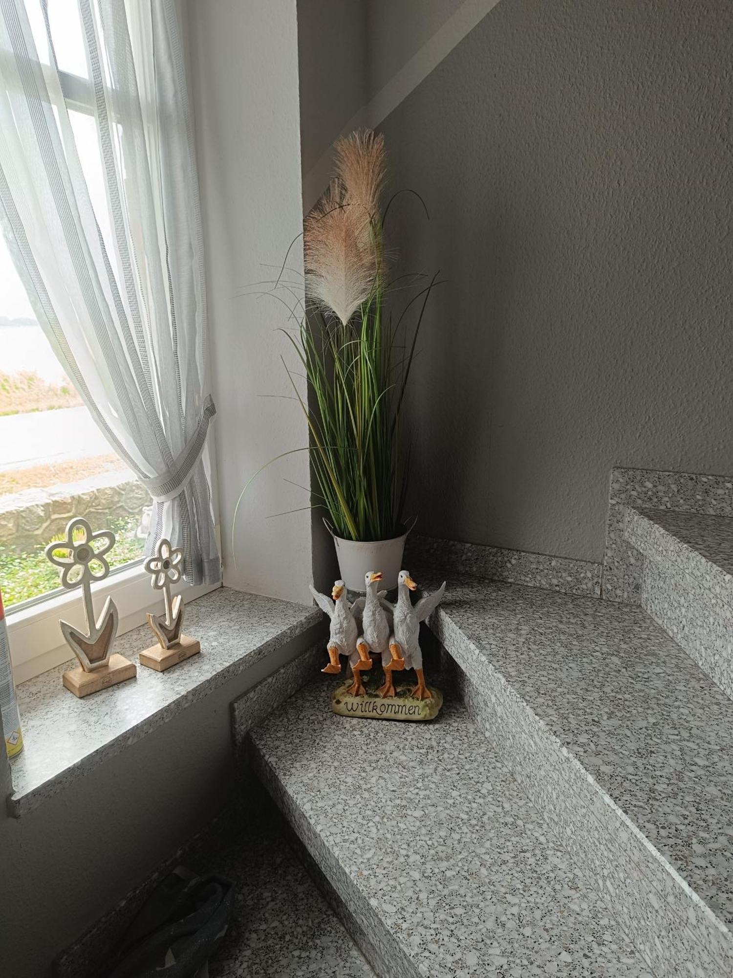 Marschblick Apartment Sudermarsch Екстериор снимка